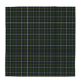 Scarf Wrap or Shawl