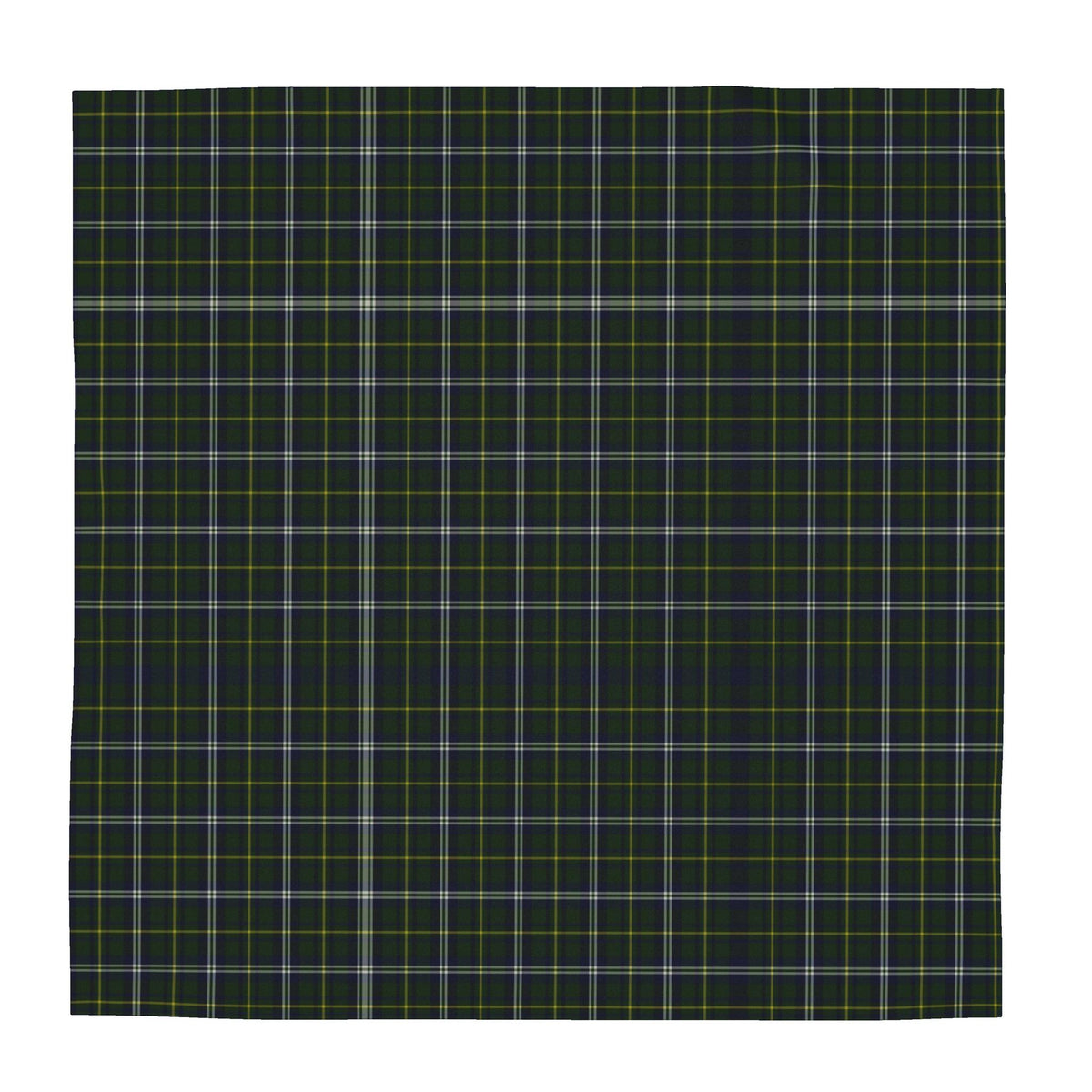 Scarf Wrap or Shawl