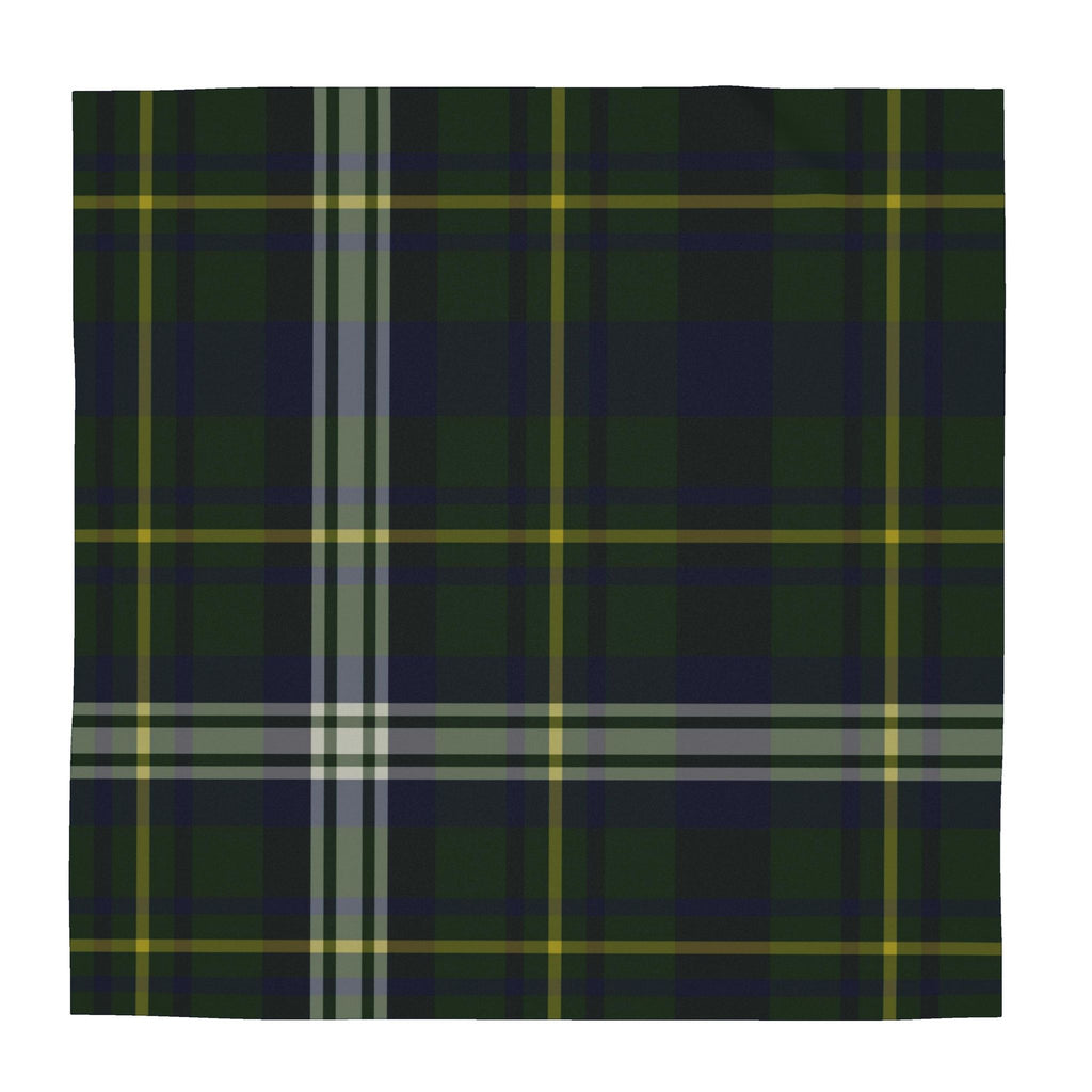 Scarf Wrap or Shawl