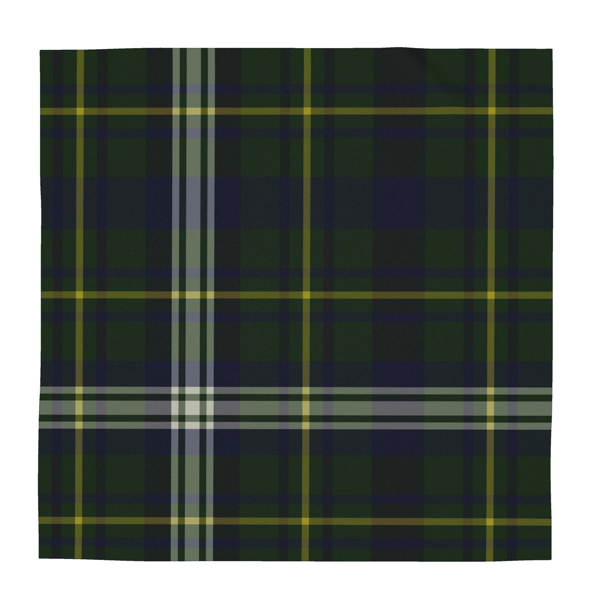 Scarf Wrap or Shawl