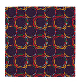 Scarf Wrap or Shawl